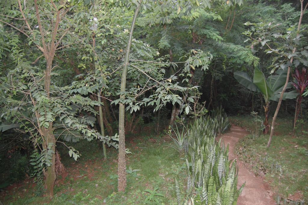 Panambi Lodge B&B Puerto Iguazú Exteriér fotografie